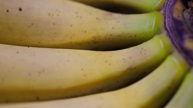 Close up de penca de banana