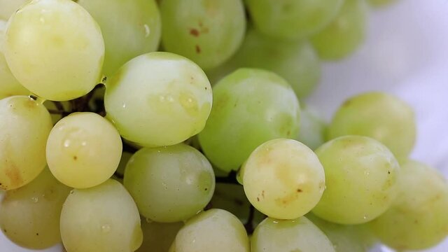 Close up de uvas verdes