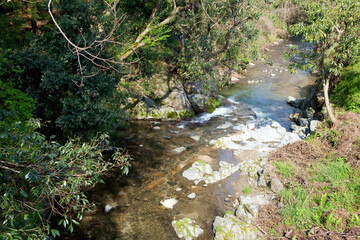 飛鳥川