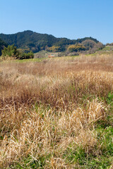 飛鳥稲淵宮殿跡