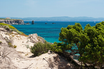 Fototapeta na wymiar Geniò beach,Carloforte, St Pietro Island, Sulcis Iglesiente, Carbonia Iglesias, Sardinia, Italy, Europe
