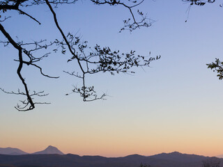 Branch silhouette in the clear morning sky. Mountain ridge landscape.