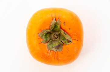 柿（平核無柿）