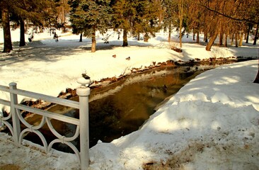 Nałęczów, Uzdrowisko, Sanatorium, Park, Pawilon, Kaczki, Staw,  © woodyd