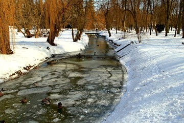 Nałęczów, Uzdrowisko, Sanatorium, Park, Pawilon, Kaczki, Staw,  © woodyd