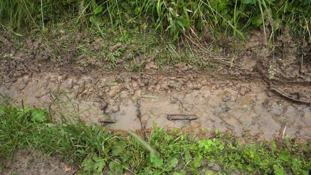 Mud and dirt road at the country side.