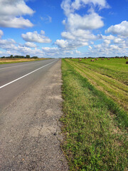 Fototapeta na wymiar Road, green field with flowers and blue sky. Landscape with field and sky road...
