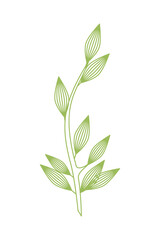 branch with leafs plant nature icon