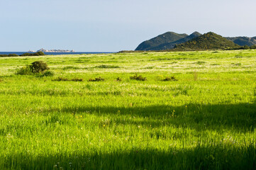 Costa Rei Landscape, Castiadas, Muravera, Cagliari district, Sardinia, Italy, Europe