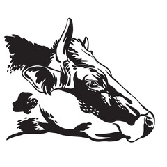 Contour portrait of the bull vector black