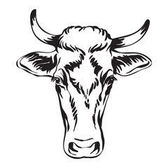 Black contour portrait of the cow vector