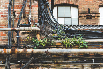 Pipes, cabling and weeds of an old factory