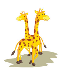 Obraz premium a happy giraffe