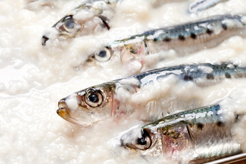 塩こうじを使った魚料理