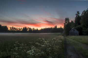Sunset over a field