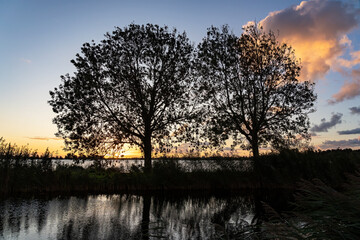 Behind these two trees on the water of lake Zoetermeerse Plas, the sun is just rising on the horizon and shines beautifully on the scattered clouds