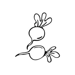 Beet hand drawn in doodle style.
Single element on a white background.
Idea for logo, culinary design, food menu. Black and white vector illustration.