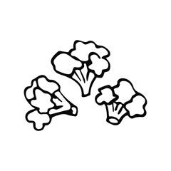 Hand drawn single broccoli in doodle style. Isolated on a white background.
Idea for logo, culinary design, food menu. Black and white vector image.