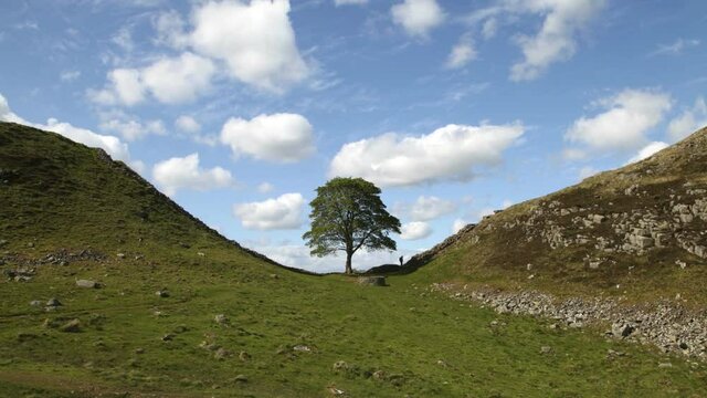 Timelapse at Sycamore Gap on Hadrian's Wall, Northumberland.
