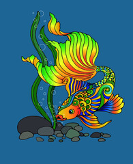 illustration of a fish