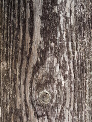 Verschiedene Hintergr&uuml;nde und Untergr&uuml;nde in verschiedenen Designs wie Holz und Beton