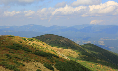 Naklejka premium mountains slope in Carpathians
