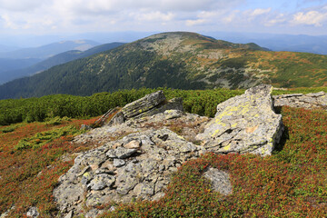 Fototapeta na wymiar old stones on mountain top in Carpathians