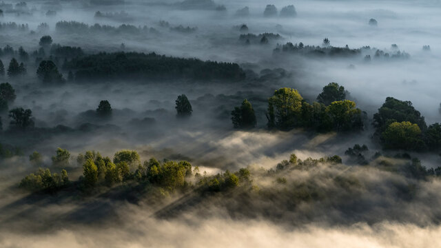 The awakening, wonderful sunrise over the foggy forest