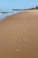 footprint on the sand in a desert  beach