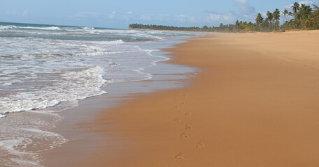 footprint on the sand in a desert  beach