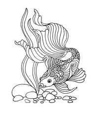 black and white fish