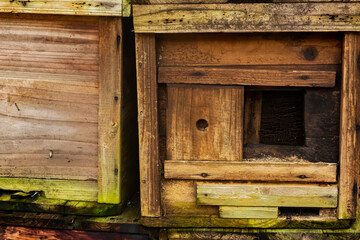Hong Kong 2020 : Close-up Of Abandoned Wooden Bees Box