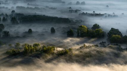 Mist over the forest, autumn landscape