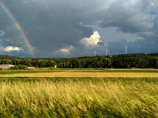 rainbow over the field