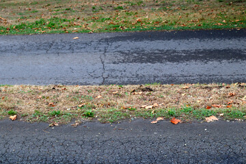 Path in the countryside