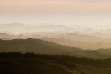 Landscape Berkheide dunes in Katwijk, Netherlands