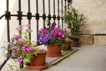 Fototapeta na wymiar Terrace with flowers in pots. Image with selective focus.
