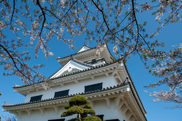 桜のよく似合う日本の城