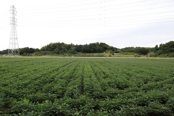 田舎町