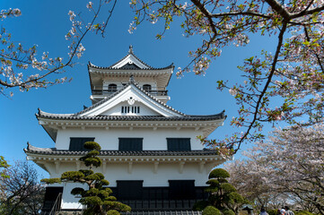 桜のよく似合う日本の城