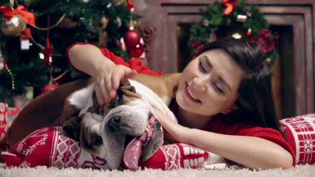charming asian girl loves and caresses a cute funny bulldog under the Christmas tree. Best friends. Christmas. New Year. The concept of advertising. suitable for christmas promotion