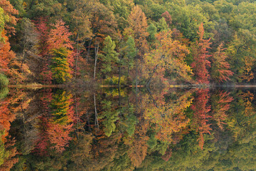 Autumn landscape of the shoreline of Hall Lake with mirrored reflections in calm water, Yankee Springs State Park, Michigan, USA
