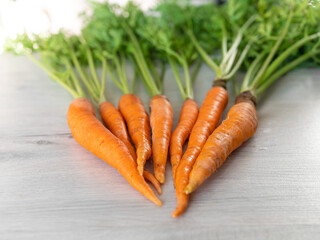 Fresh carrots only from the garden. Orange carrots with a green stem on a light background. Appetizing healthy vegetable