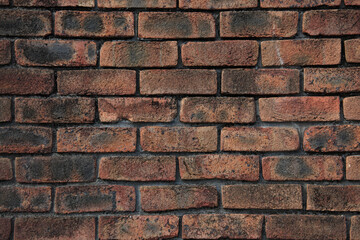 赤れんがの壁