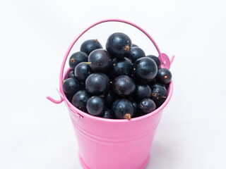 Pink bucket on a white background filled with black currants