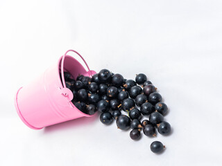 A pink bucket on a white background from which black currants are poured