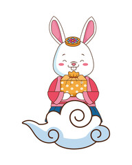 chinese rabbit with giftbox character