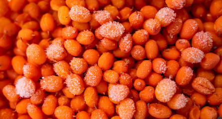 Bright juicy orange sea buckthorn covered with frost snowflakes