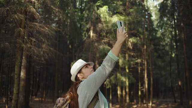 traveler woman trying to catch a cell signal on the phone in the forest, no signal on the phone