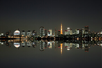 Obraz premium 東京タワーとビル群の夜景